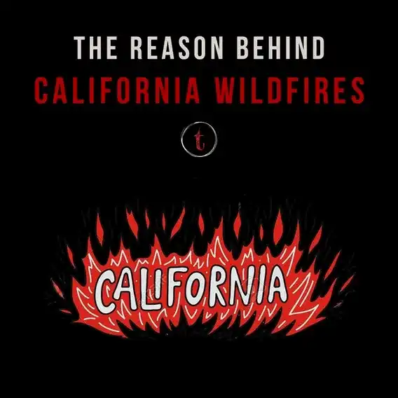 The Reason Behind California Wildfires